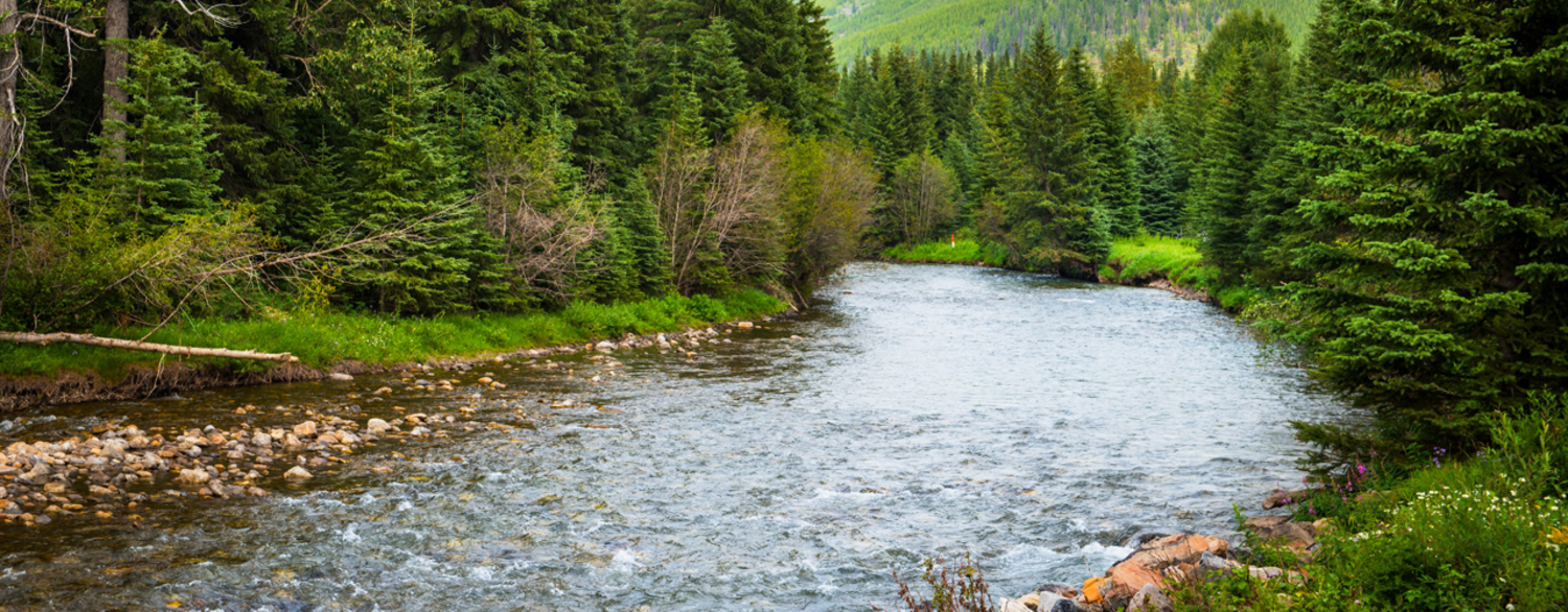 Responsible Mining in the Elk Valley