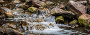 A stream flowing over rocks, creating small cascades of water.