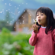 A child blowing dandelion seeds outdoors, with a blurred house and greenery in the background.