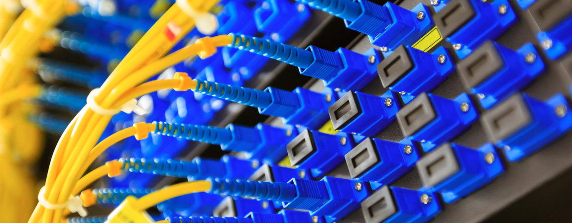 Did you know? Close-up of blue and yellow fiber optic cables plugged into a server rack.