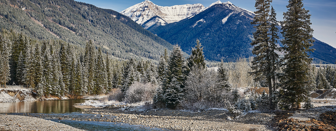 Elk Valley Water Quality Plan Progress