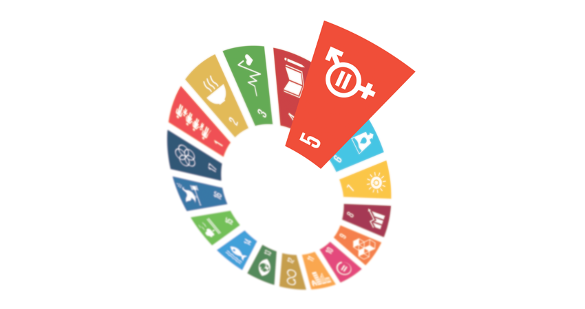 Colorful circular chart of Sustainable Development Goals with Goal 5: Gender Equality highlighted.