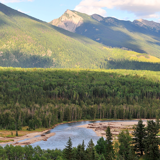 Working Together on Environmental Monitoring in the Elk Valley