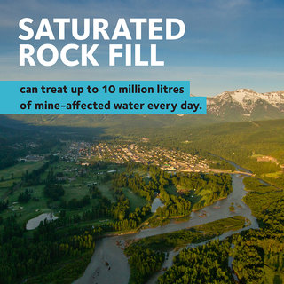 Going Natural: Applying Innovative Solutions to Improve Water Quality