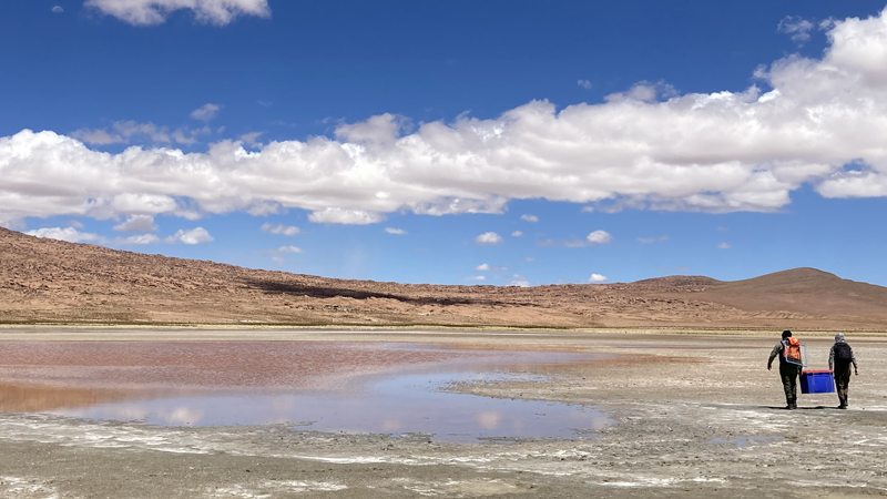 Alconcha Salt Flat Conservation Area