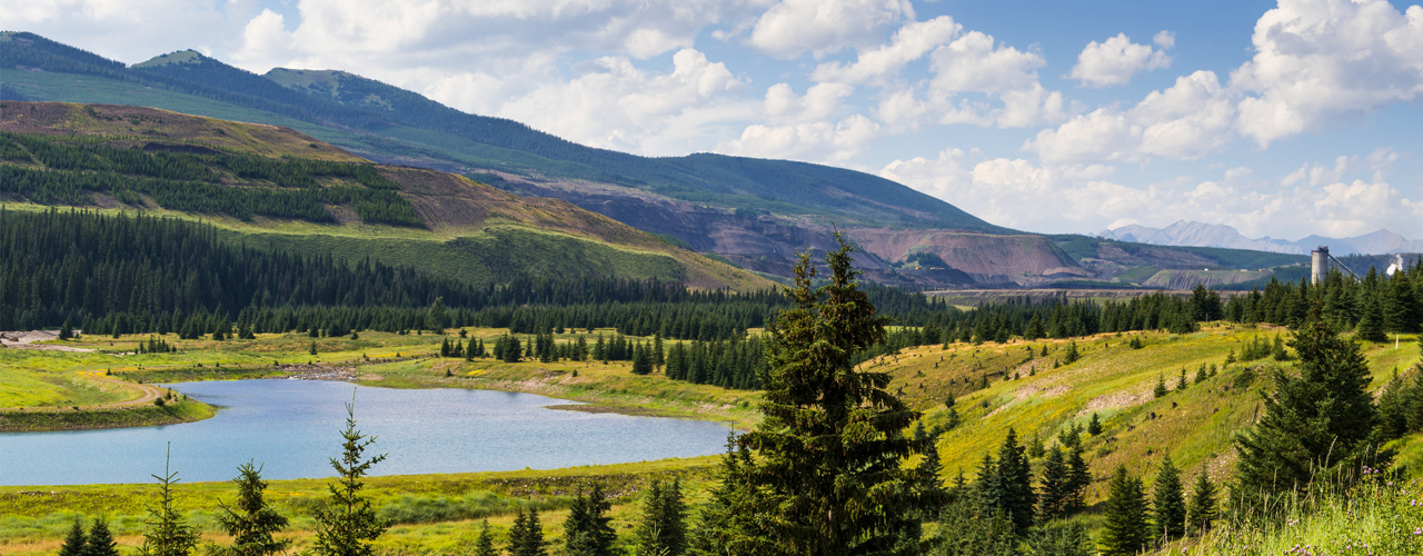 Water Quality in the Elk Valley